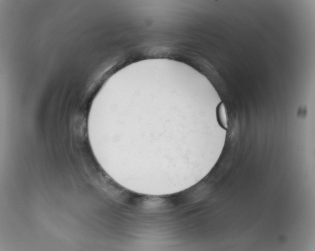 X0000111610669200908141255