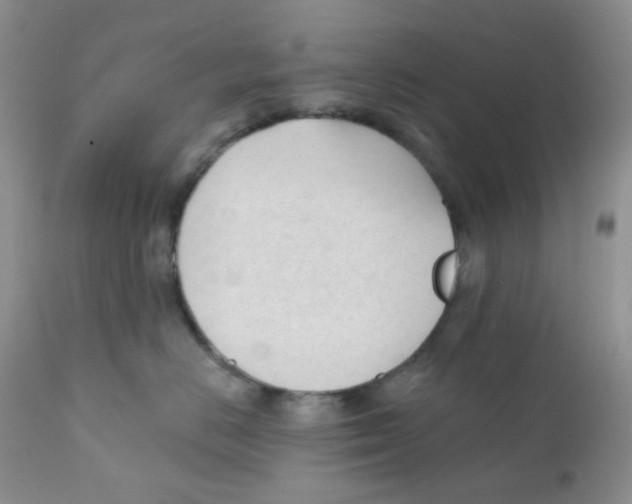 X0000111610670200908141255