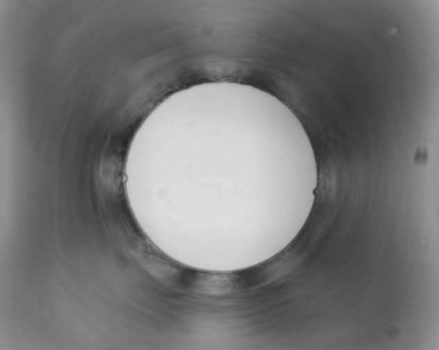 X0000111610671200908141255
