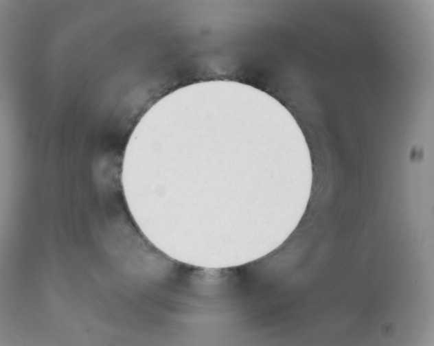 X0000111610672200908141255