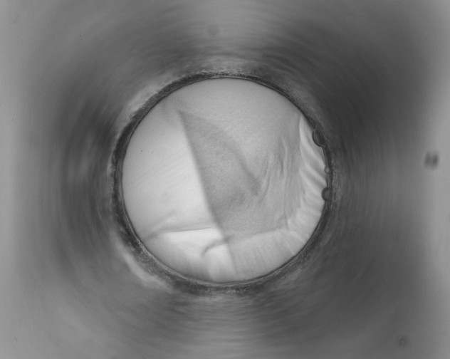 X0000111610674200908141254