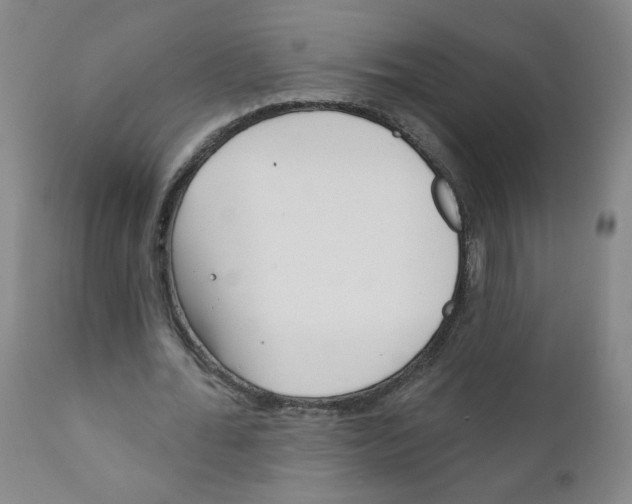 X0000111610676200908141254