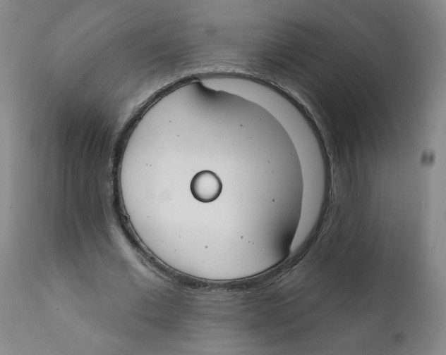 X0000111610677200908141254