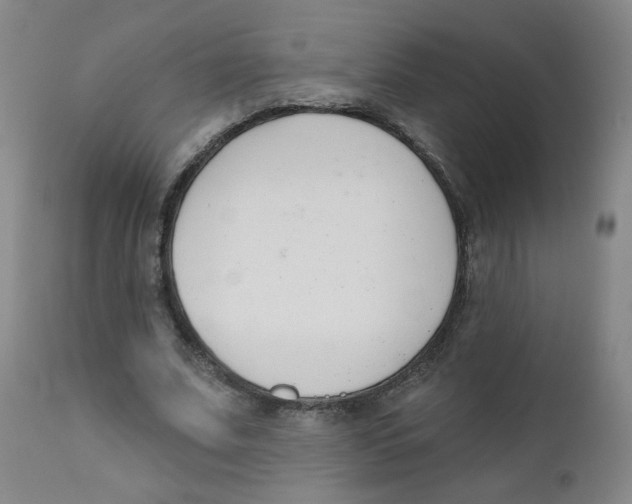 X0000111610679200908141254