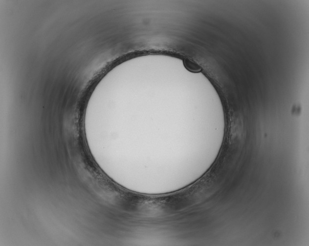 X0000111610680200908141254