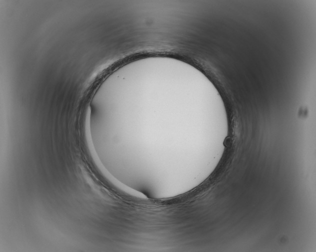 X0000111610684200908141254