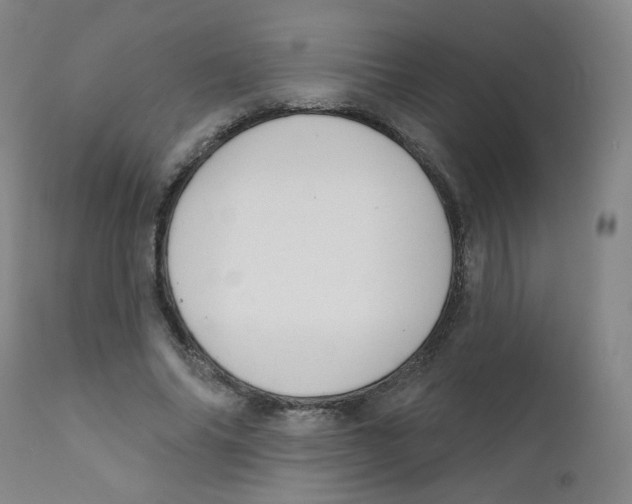 X0000111610686200908141254