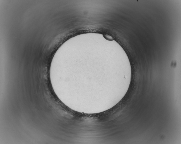 X0000111610689200908141254