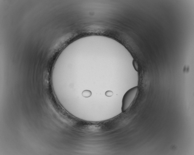 X0000111610692200908141254