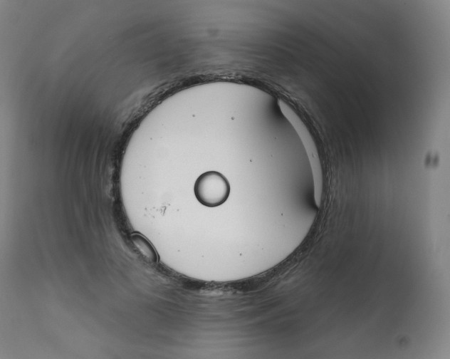 X0000111610693200908141254