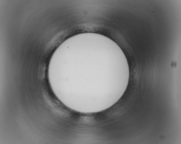 X0000111610694200908141254