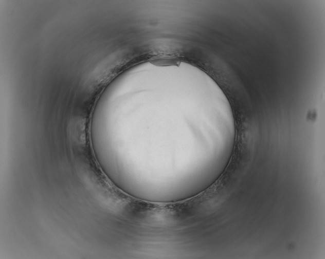X0000111610696200908141254