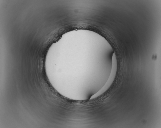 X0000111610697200908141254