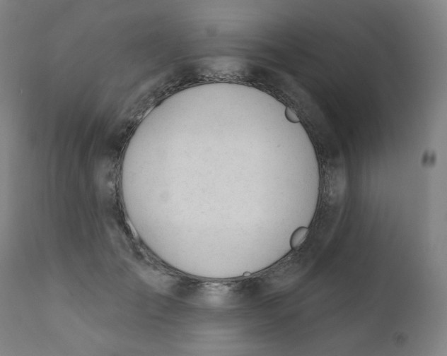 X0000111610701200908141254