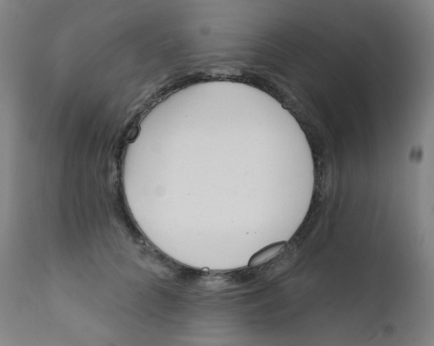 X0000111610704200908141253