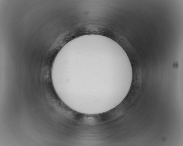 X0000111610706200908141253