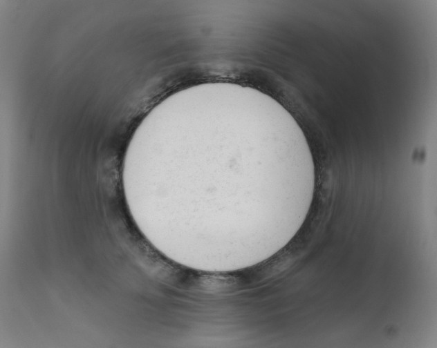 X0000111610707200908141253