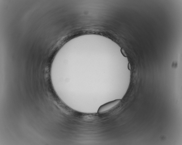 X0000111610708200908141253