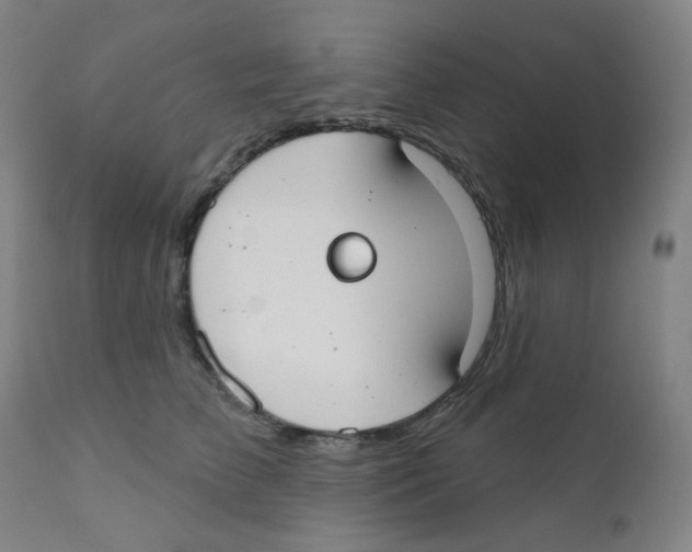 X0000111610709200908141253