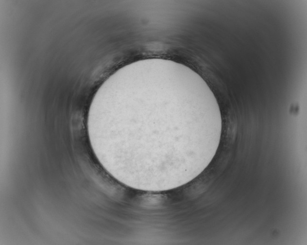 X0000111610711200908141253