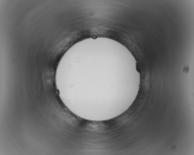 X0000111610712200908141253