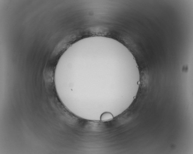 X0000111610713200908141253