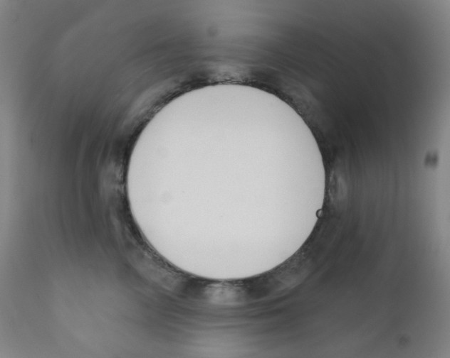 X0000111610714200908141253