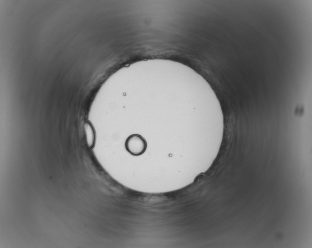 X0000111610716200908141253