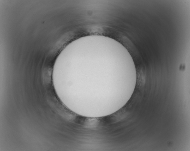 X0000111610717200908141253
