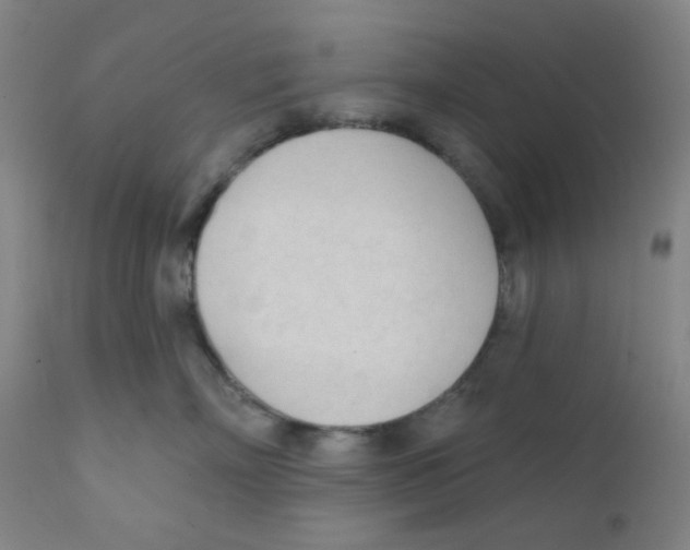 X0000111610718200908141253