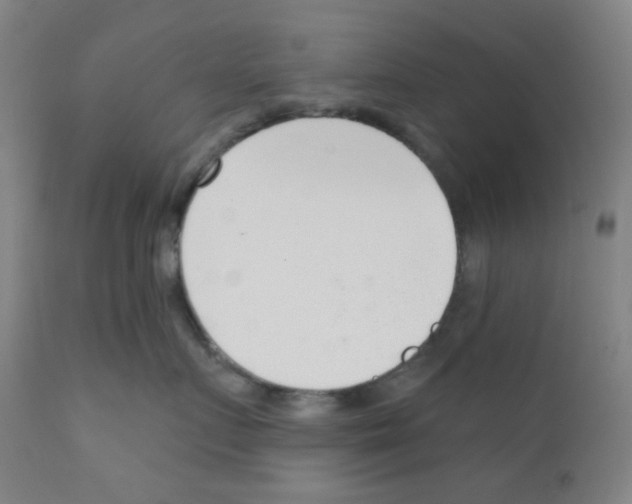 X0000111610719200908141253
