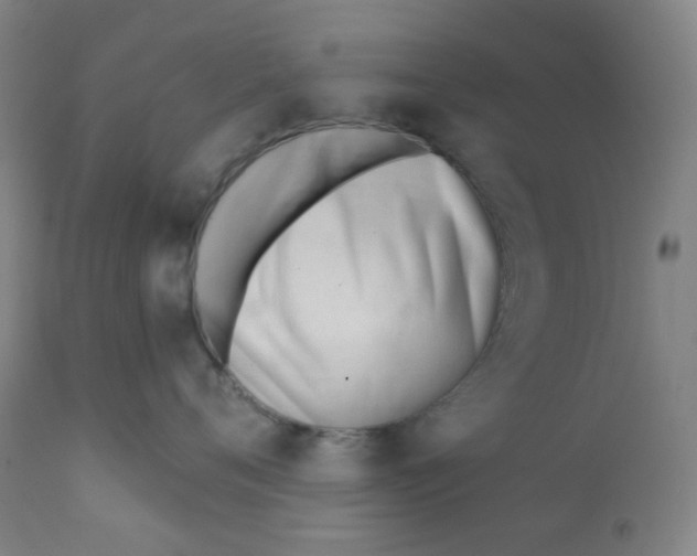 X0000111610720200908141253