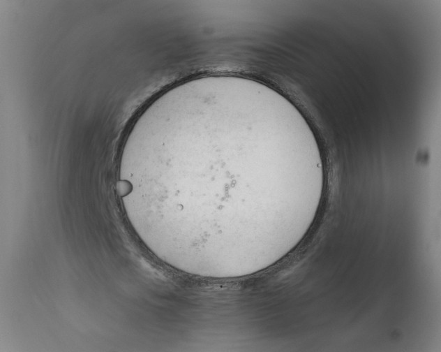X0000111610721200908141253