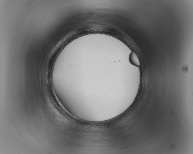 X0000111610722200908141253