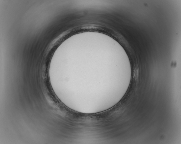 X0000111610724200908141253