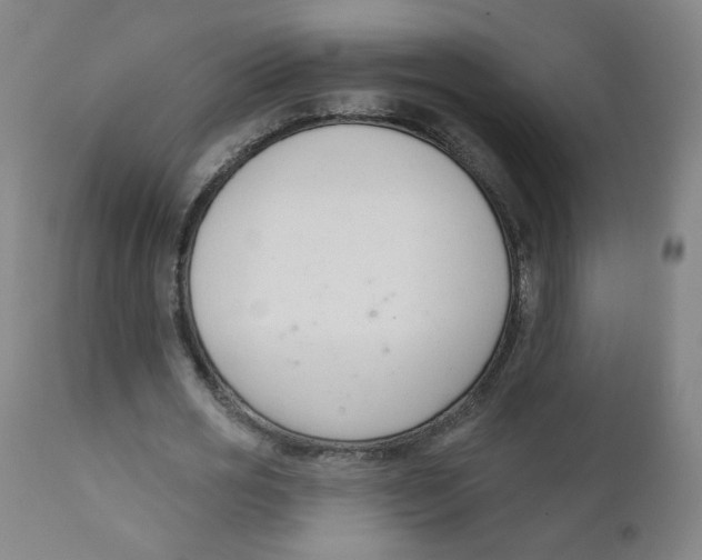 X0000111610725200908141253