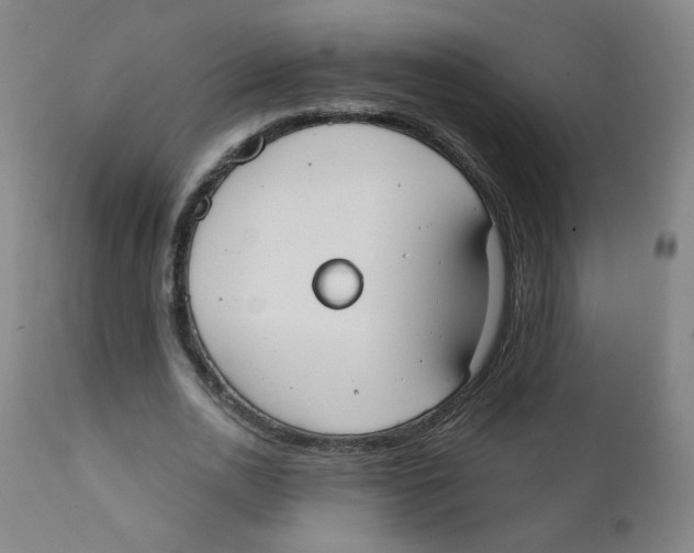 X0000111610726200908141253