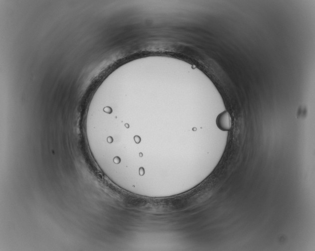 X0000111610727200908141253