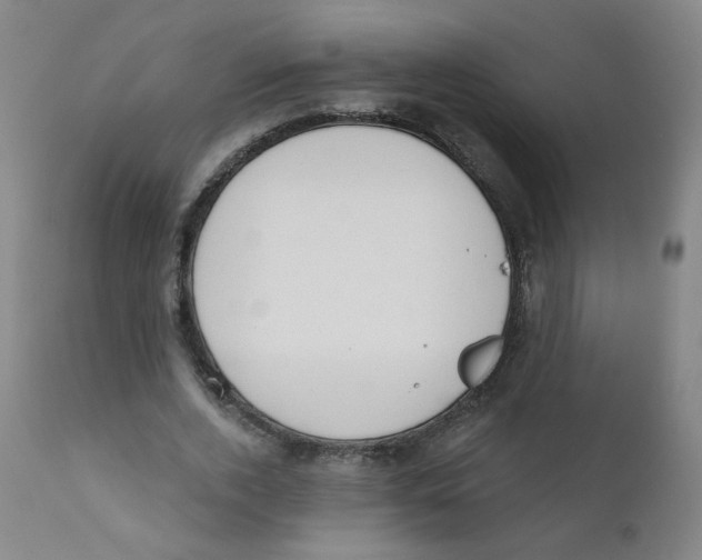 X0000111610728200908141253