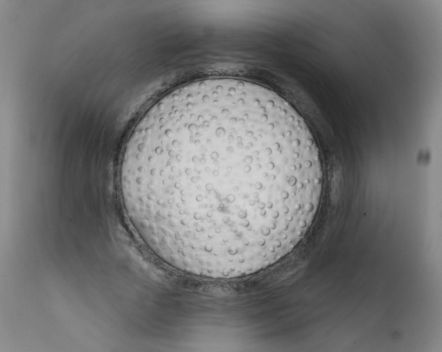 X0000111610729200908141253