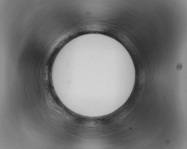 X0000111610731200908141253