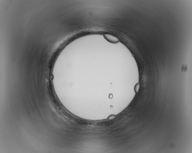 X0000111610732200908141253