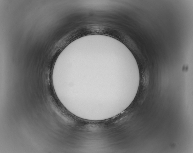 X0000111610733200908141253