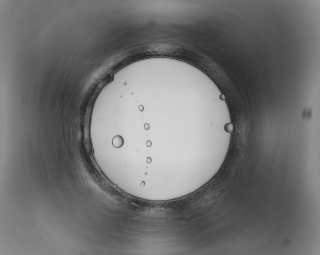 X0000111610734200908141253