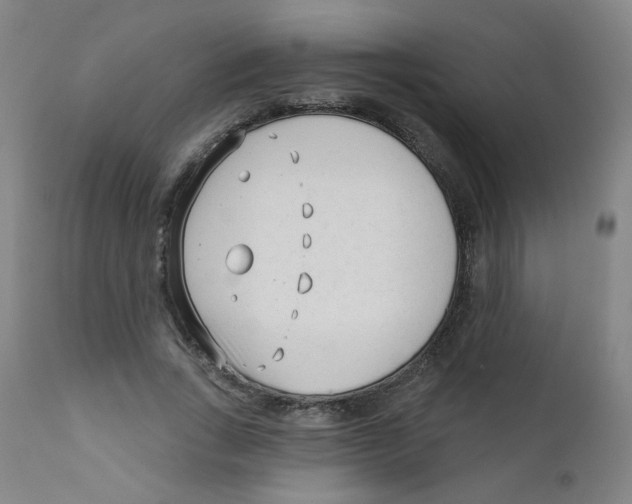 X0000111610735200908141253