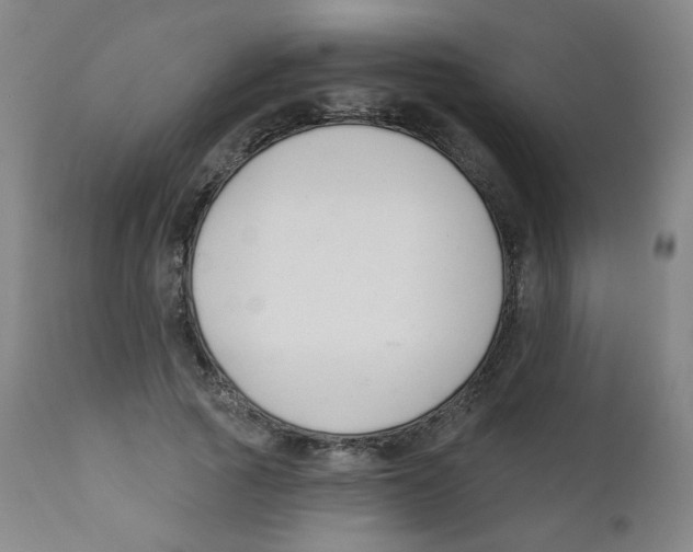 X0000111610737200908141253