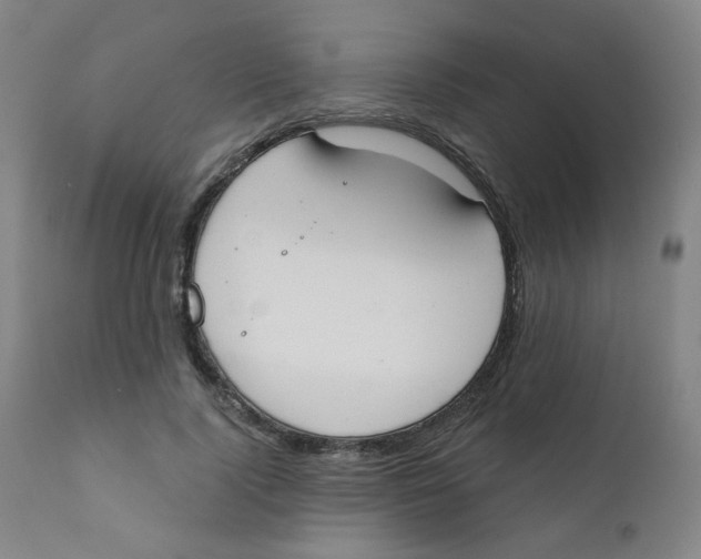 X0000111610740200908141253