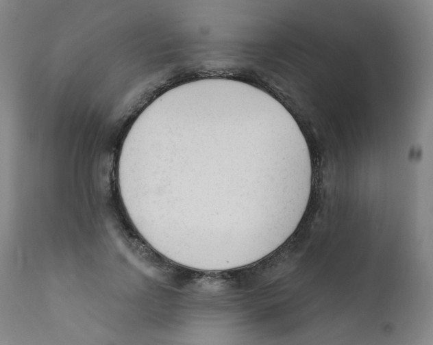 X0000111610742200908141253