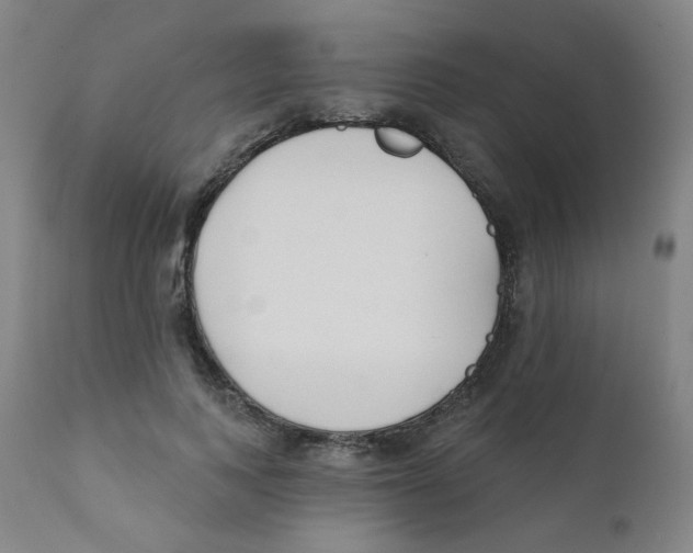 X0000111610743200908141253