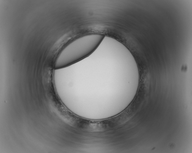X0000111610744200908141253